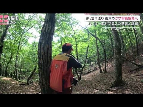 クマに圧力？約20年ぶりに東京で狩猟解禁へ ハンター密着でみえた課題と効果【サタデーステーション】(2026年7月11日)