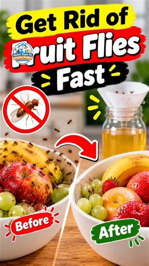 How to Get Rid of Fruit Flies Fast (Easy Trap) 🪰#everyday#sciencefacts