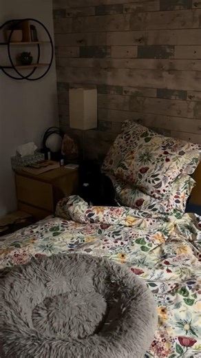Cypher taking the best spot! #cats #gatto #katze #cat #catshorts