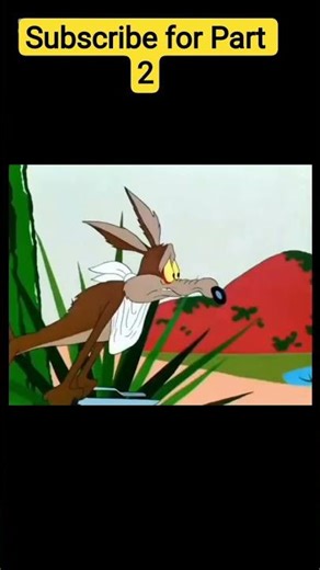 The Coyote and the road runner. Old og cartoon. #old #cartoon #kids #nostalgia