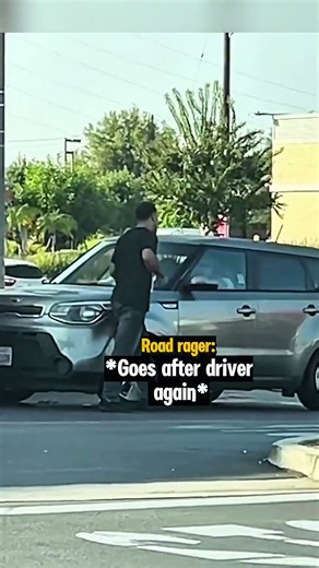 Road Raging Man Breaks Driver's Side Mirror