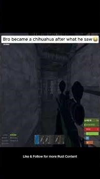 RAID BASE IN RUST as soon as he saw it he got so scared he became a puppy 🐶 #rust