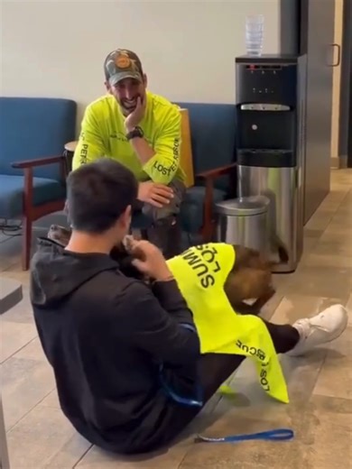 PAWS OF JOY🐾🥰: After surviving 43 days alone in the wilderness of Summit County, Colorado, a dog named Rocky was reunited with his owner on Feb 13. Video captures the heartwarming moment as Rocky jumps and knocks his owner down in joy, smothering him with kisses. #animals #dogs #Colorado #FoxWeather