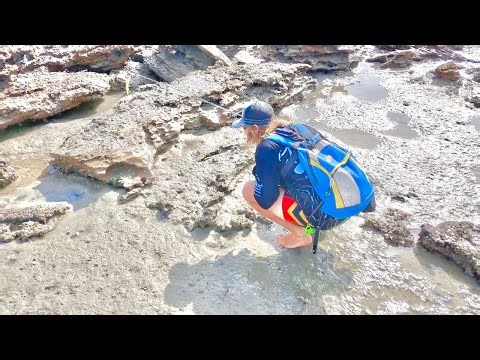 MANY MUDCRABS..PRISTINE BAY FISHING..(private camp)