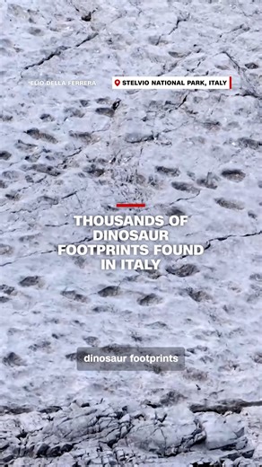 Thousands of dinosaur footprints were discovered at Stelvio National Park in northern Italy. | CNN