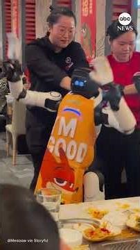 Restaurant staff forced to restrain dancing robot run amok
