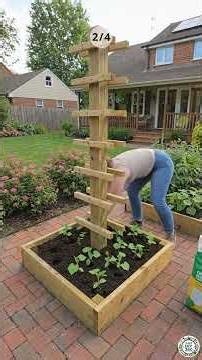 4 DIY Organic Cucumber Planter Ideas | Easy Backyard Garden Projects #cucumber #planter