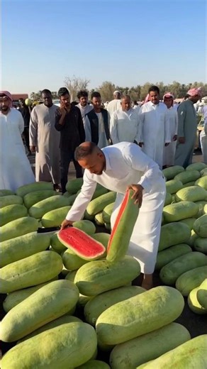 Why Brazilian Farmers Destroy Thousands of Watermelons Every Year 🍉😱 #shorts