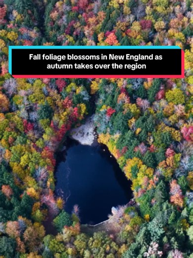 Fall looks good on you, New England. Here’s a look at last week’s colorful scenes from the mountains of New Hampshire and Vermont. Looking to take a leaf-peeping journey of your own? Find our foliage tracker at the link in our bio. Video by Raphael Chinca #fallfoliage #newenglandfall #vermont #newhampshire #leafpeeping