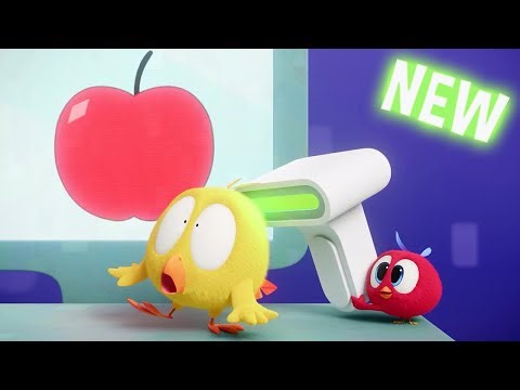 (NEW) Chicky Goes Shopping | Where's Chicky? | Cartoon Collection in English for Kids | New episodes
