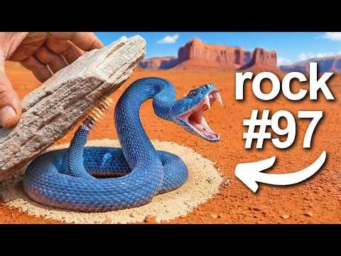 I Flipped 100 Rocks in Australia, Here's What I Found...