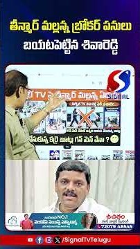 Shiva Reddy Exposed Teenmar Mallanna Broker Works || KTR || Signal TV Telugu