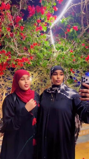 Amal Qurux official - Amal Qurux videos and clips