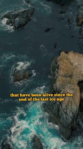 This "Alien" is 11,000 years old... 🌊 #shorts #mystery #ocean