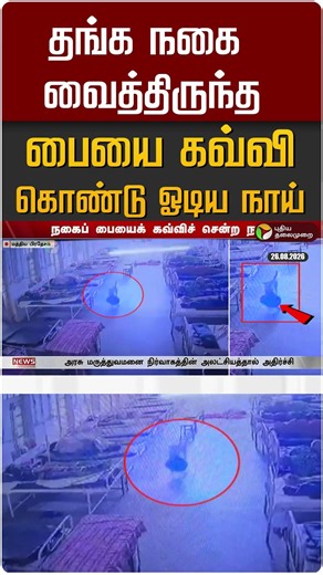 தங்க நகை வைத்திருந்த பையை கவ்வி கொண்டு ஓடிய நாய் #shorts
