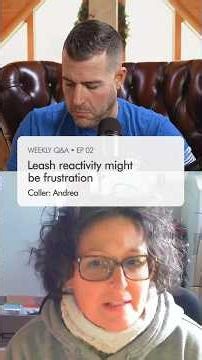 Why Your Dog Explodes In Small Spaces