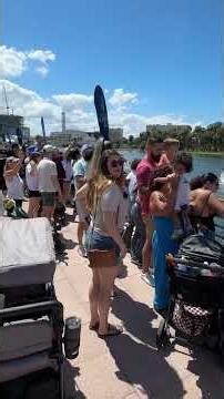 Tampa’s Incredible Duck Race raises $40k for local children’s charities