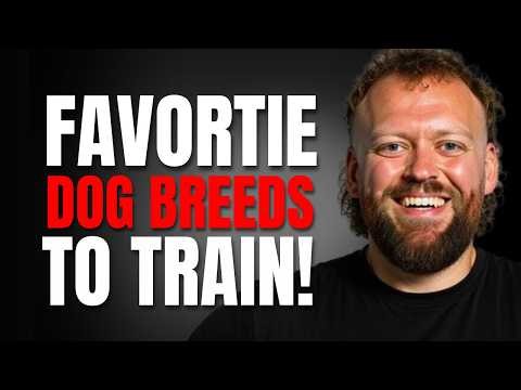 Our Favourite Dog Breeds to Train