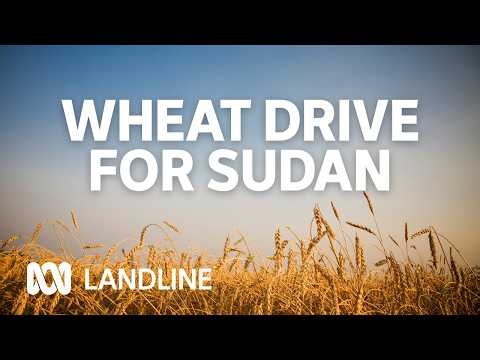 Australian farmers send 100 tonne wheat shipment for Sudan hunger crisis | Landline | ABC iview