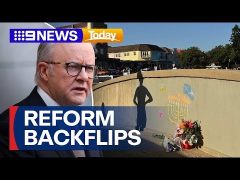 PM Albanese forced into two separate bills for gun laws and hate speech | 9 News Australia