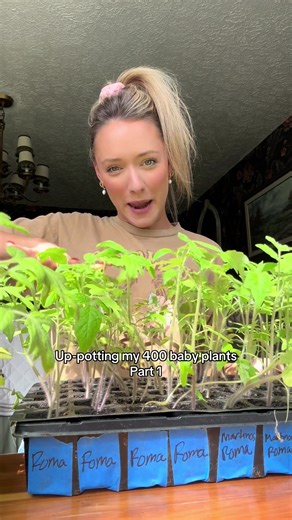 Up-Potting 400 Baby Plants: Part 1