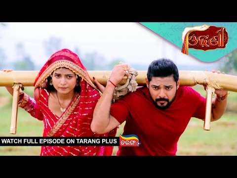 Odhani | Ep - 374 | Mega Serial | 30th June 2026 | Watch Full Episode Now On Tarang Plus