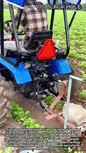 Compact Tractor Weeding Process in the Field #worker #process #farming #agriculture #tractor