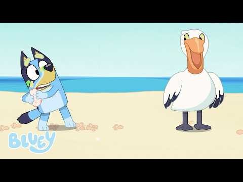 ビーチ 🌊🌴 | ブルーイ 英語版 | 日本語字幕 | ブルーイ - 日本公式チャンネル - Bluey