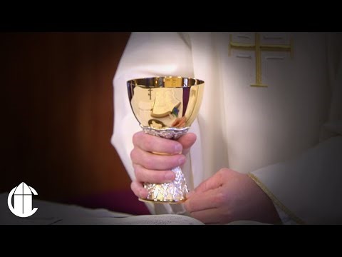 DAILY CATHOLIC MASS 1/22/26 | The Sacred Gift of Life: Saul’s Regret and the Healing of the Nations