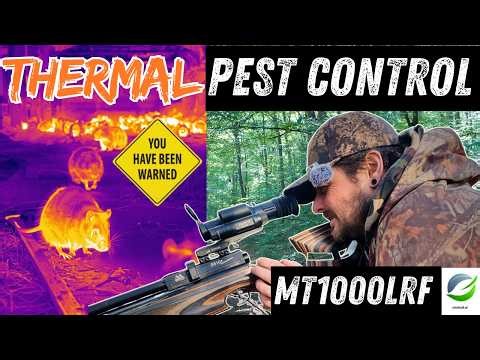 Pest Control | MarsMT1000 HW100X | Rats Rabbits Squirrels | UK sub 12 air rifles