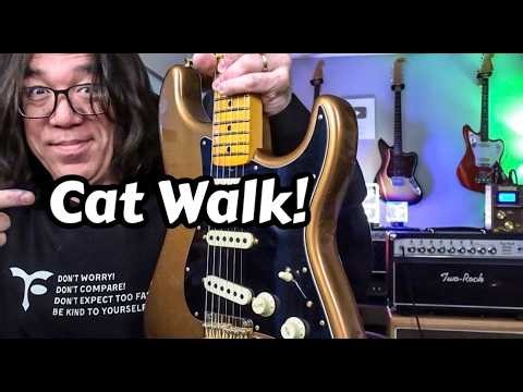 Cat Walk! R 3 7 Funk Riff and Bassline (And a little real talk on HOW TO live long time!)