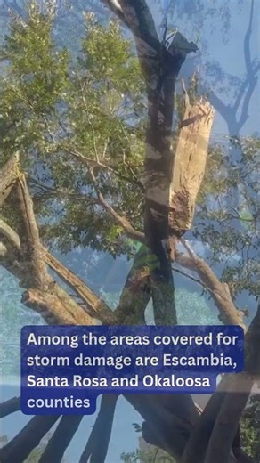 FEMA assistance granted for state of Florida