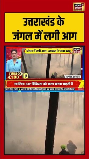 उत्तराखंड के जंगल में लगी आग | #uttarakhand #forestfire #breakingnews #viralnews #shorts