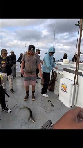 Wild 3/4-Day Trip on the Dolphin! 🦈🎣 30-Lb White Seabass #SanDiegoFishing #Shorts