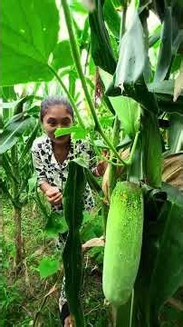 Khaiyo ta kakra part 01 #nepalicomedy #entertainment #villagelife