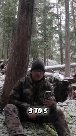 Sasquatch Seen In The Snow