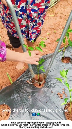 Speed Dibber for Peppers – Spring‑Assisted Planting in Tough Soil 🌶️⚡
