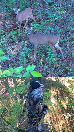 Levi Remole is on the board!