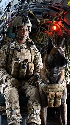 Military Dog Jumps From Plane! Elite K9 Parachute Training #malinois #malinoismonday #police #k9