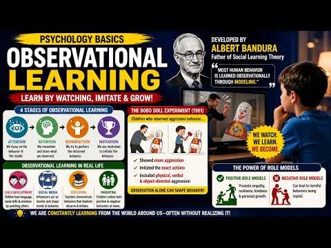 Observational Learning Explained | Albert Bandura, Social Learning Theory & Bobo Doll Experiment