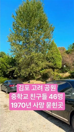SBS 꼬꼬무 242회 관련, 46명이 잠든 곳 제사 방문. 2026년 10월 10일
