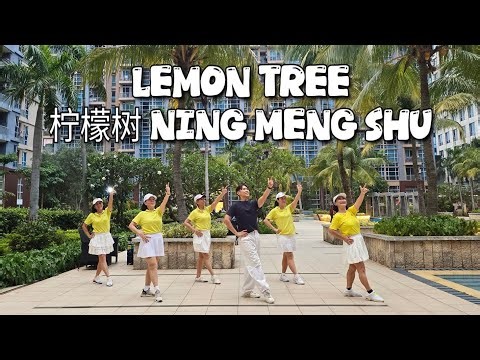 NEW DANCE (CBD) | Lemon Tree (柠檬树 Ning Meng Shu) | LINE DANCE | Easy Intermediate | Heru Tian