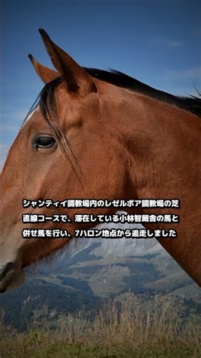 9.30｜競馬ニュース｜【凱旋門賞】調教では初コンビ!メイショウタバルが武豊騎手を背に最終追い切り シャンティイの芝でリズミカルな走り披露 #Shorts