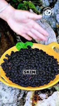 Turning Fresh Mulberries Into Beautiful Purple Treats 🍇 #mulberry #harvest #fruit #villagecooking