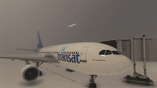 Seconds from crashing… the aircraft dropped out of the sky