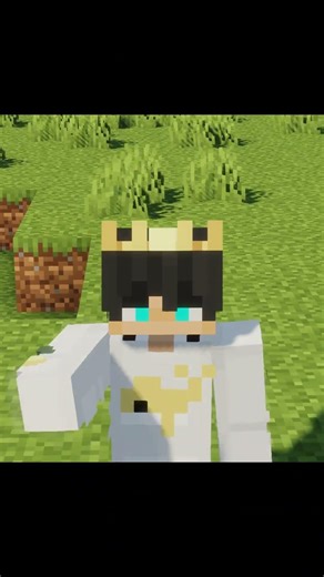 Can I Beat Minecraft Without ANY Armour?
