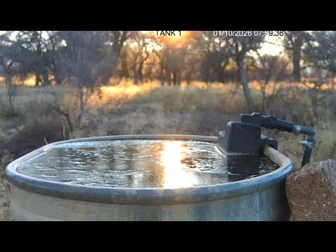 Water tank along the creek. Birding Chiricahua mountains south eastern Arizona.