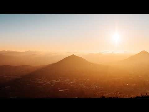 Local Live | Brandon Davis