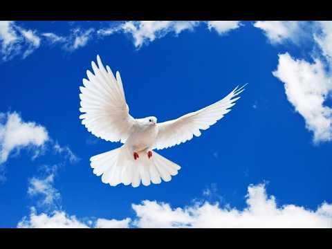 ΕΚΚΛΗΣΙΑ ΠΕΡΙΣΤΕΡΙΟΥ (Κυριακάτικο κήρυγμα) - Αριστομένης Δημακέας