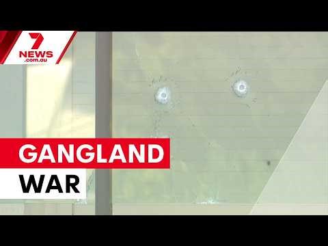 Lone Wolves gang launches coordinated attacks on rival clan | 7NEWS